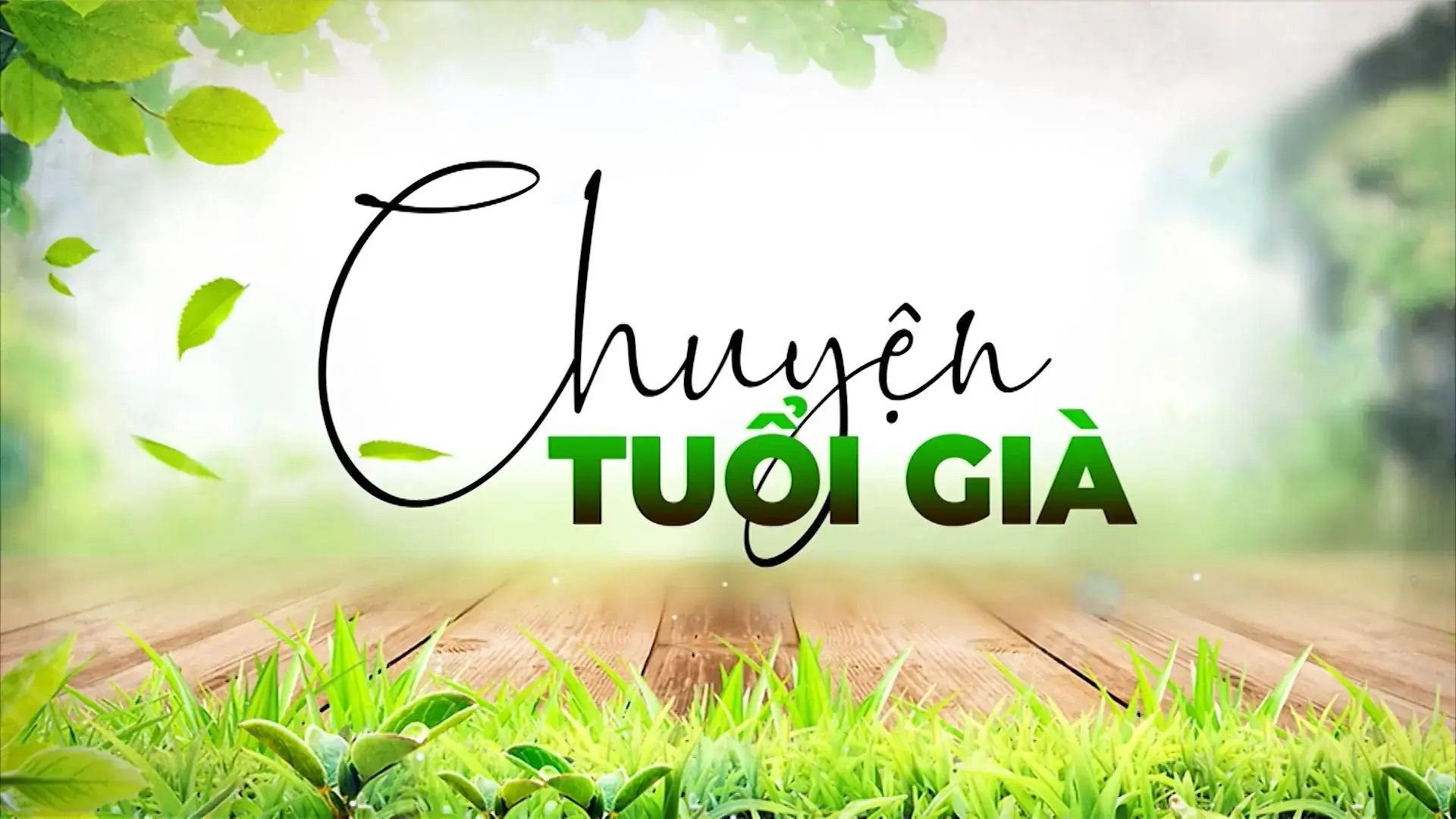 Bệnh đáy mắt thường gặp ở người già | Chuyện tuổi già | 19/10/2025